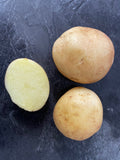Caledonian Pearl