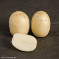 Nadine Seed Potato