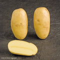 Charlotte Seed Potatoes