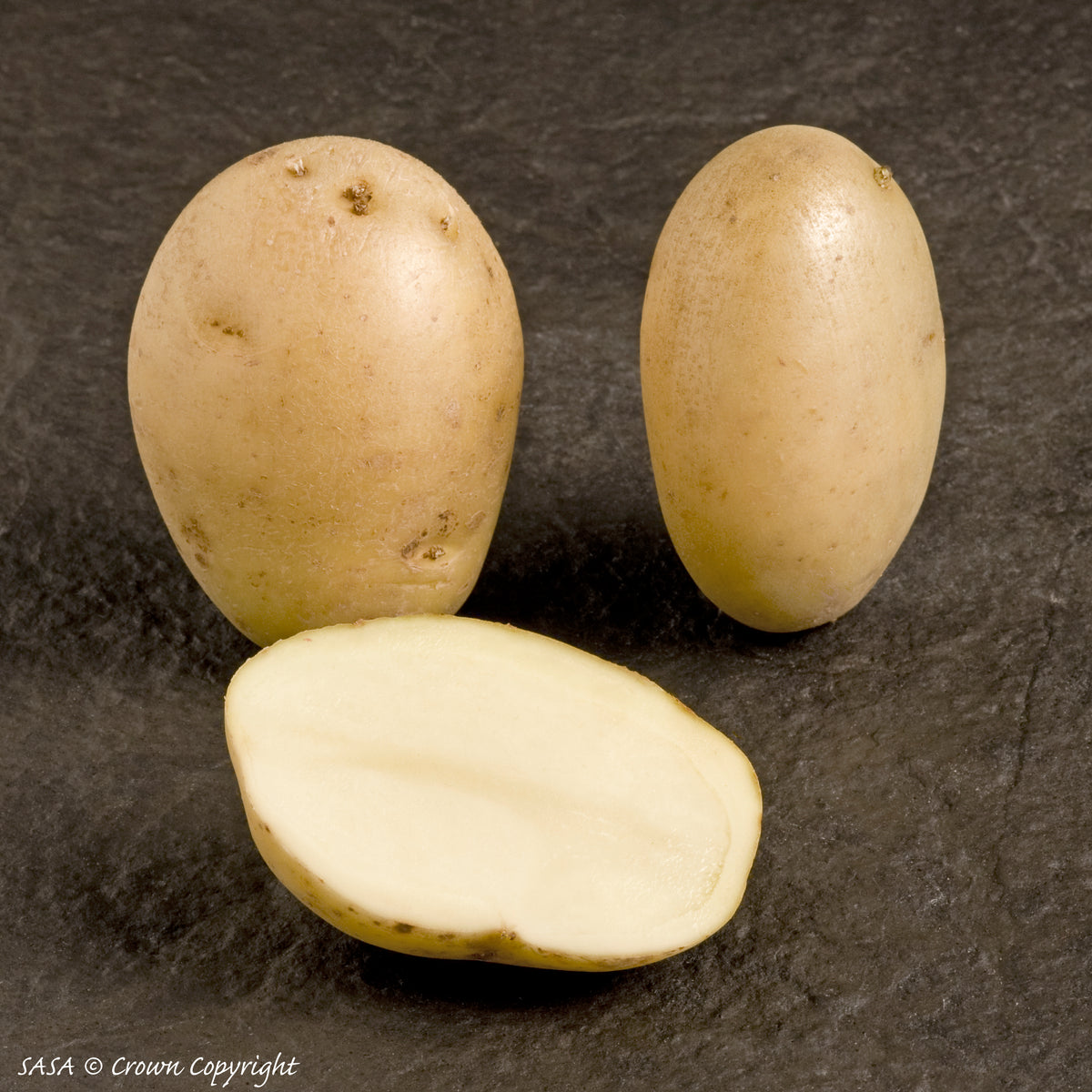 Maris Piper Seed Potatoes