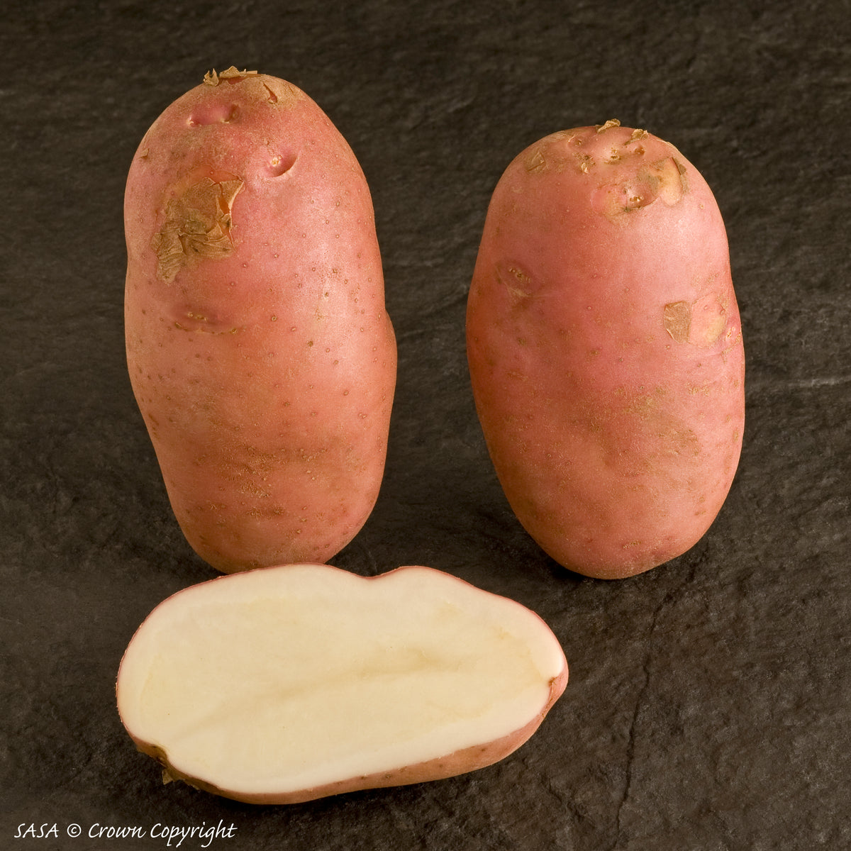 Organic Sarpo Mira Seed Potato