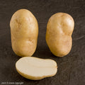 Pentland Crown Seed Potato