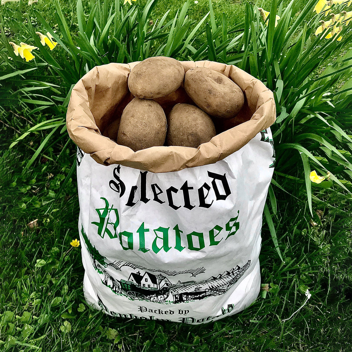 12.5kg Maris Piper Table Potatoes